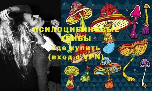 соль курить ск Абаза