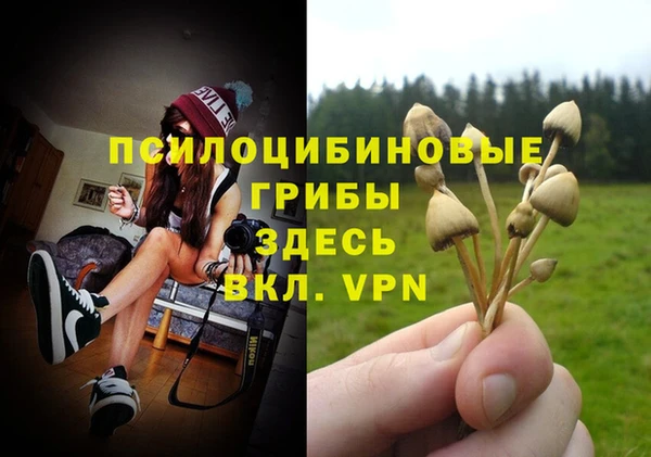 соль курить ск Абаза